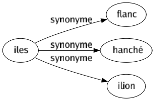 Synonyme de Iles : Flanc Hanché Ilion 