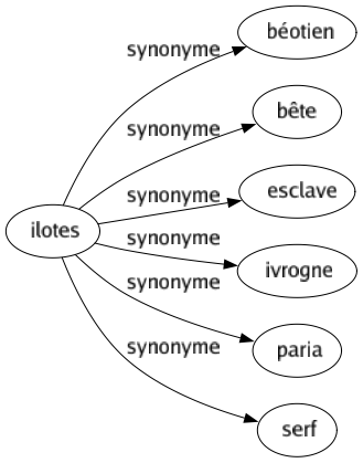 Synonyme de Ilotes : Béotien Bête Esclave Ivrogne Paria Serf 