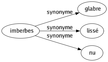 Synonyme de Imberbes : Glabre Lissé Nu 