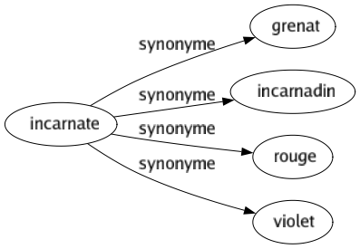 Synonyme de Incarnate : Grenat Incarnadin Rouge Violet 