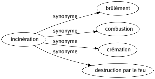 Synonyme de Incinération : Brûlément Combustion Crémation Destruction par le feu 