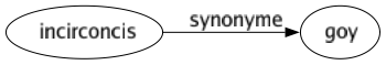 Synonyme de Incirconcis : Goy 