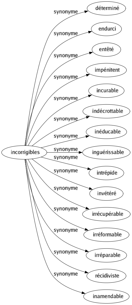 Synonyme de Incorrigibles : Déterminé Endurci Entêté Impénitent Incurable Indécrottable Inéducable Inguérissable Intrépide Invétéré Irrécupérable Irréformable Irréparable Récidiviste Inamendable 