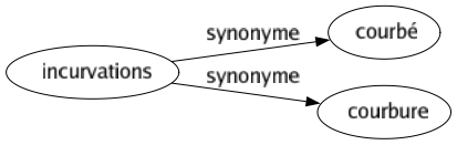 Synonyme de Incurvations : Courbé Courbure 