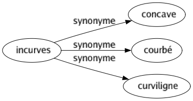 Synonyme de Incurves : Concave Courbé Curviligne 