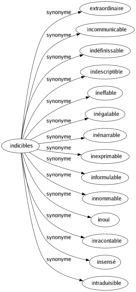 Synonyme de Indicibles : Extraordinaire Incommunicable Indéfinissable Indescriptible Ineffable Inégalable Inénarrable Inexprimable Informulable Innommable Inouï Inracontable Insensé Intraduisible 