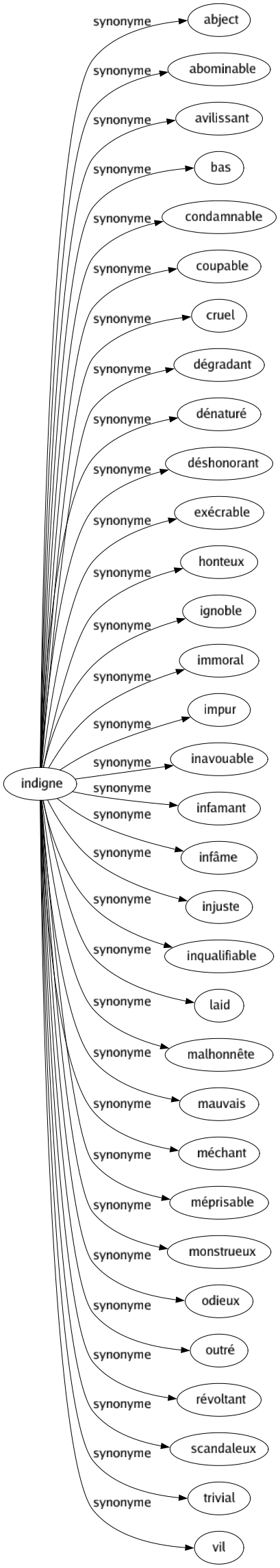 Synonyme de Indigne : Abject Abominable Avilissant Bas Condamnable Coupable Cruel Dégradant Dénaturé Déshonorant Exécrable Honteux Ignoble Immoral Impur Inavouable Infamant Infâme Injuste Inqualifiable Laid Malhonnête Mauvais Méchant Méprisable Monstrueux Odieux Outré Révoltant Scandaleux Trivial Vil 