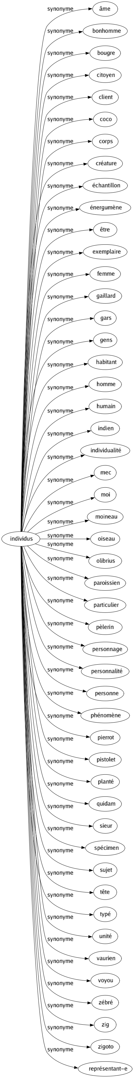 Synonyme de Individus : Âme Bonhomme Bougre Citoyen Client Coco Corps Créature Échantillon Énergumène Être Exemplaire Femme Gaillard Gars Gens Habitant Homme Humain Indien Individualité Mec Moi Moineau Oiseau Olibrius Paroissien Particulier Pèlerin Personnage Personnalité Personne Phénomène Pierrot Pistolet Planté Quidam Sieur Spécimen Sujet Tête Typé Unité Vaurien Voyou Zébré Zig Zigoto Représentant-e 