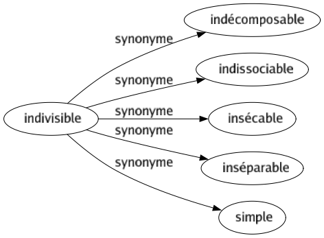Synonyme de Indivisible : Indécomposable Indissociable Insécable Inséparable Simple 