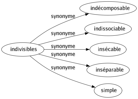 Synonyme de Indivisibles : Indécomposable Indissociable Insécable Inséparable Simple 