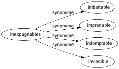 Synonyme de Inexpugnables : Imbattable Imprenable Indomptable Invincible 