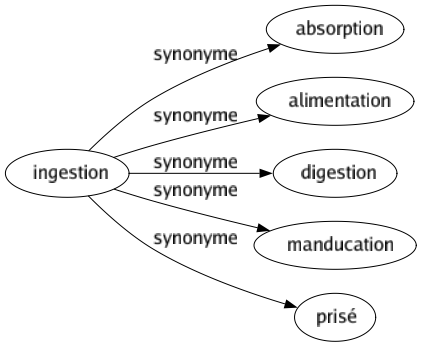Synonyme de Ingestion : Absorption Alimentation Digestion Manducation Prisé 