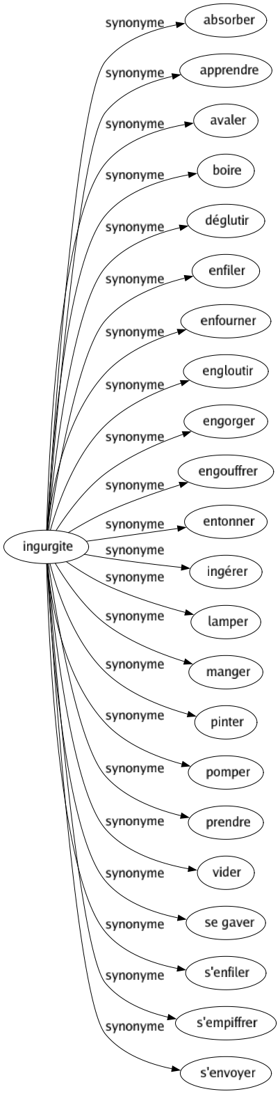 Synonyme de Ingurgite : Absorber Apprendre Avaler Boire Déglutir Enfiler Enfourner Engloutir Engorger Engouffrer Entonner Ingérer Lamper Manger Pinter Pomper Prendre Vider Se gaver S'enfiler S'empiffrer S'envoyer 