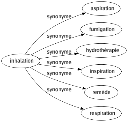 Synonyme de Inhalation : Aspiration Fumigation Hydrothérapie Inspiration Remède Respiration 