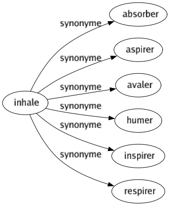 Synonyme de Inhale : Absorber Aspirer Avaler Humer Inspirer Respirer 