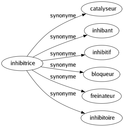 Synonyme de Inhibitrice : Catalyseur Inhibant Inhibitif Bloqueur Freinateur Inhibitoire 