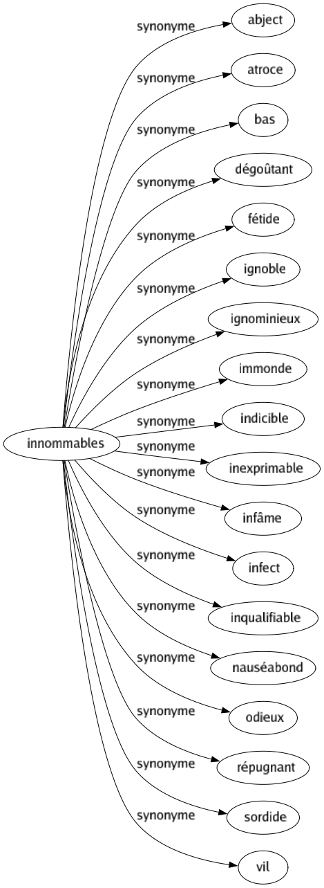 Synonyme de Innommables : Abject Atroce Bas Dégoûtant Fétide Ignoble Ignominieux Immonde Indicible Inexprimable Infâme Infect Inqualifiable Nauséabond Odieux Répugnant Sordide Vil 