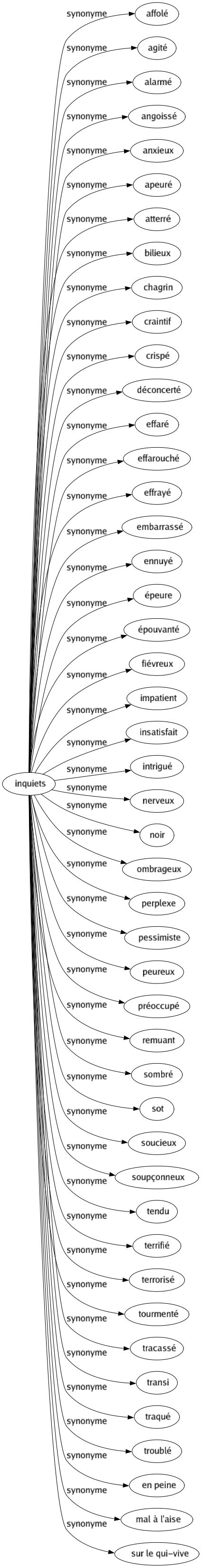 Synonyme de Inquiets : Affolé Agité Alarmé Angoissé Anxieux Apeuré Atterré Bilieux Chagrin Craintif Crispé Déconcerté Effaré Effarouché Effrayé Embarrassé Ennuyé Épeure Épouvanté Fiévreux Impatient Insatisfait Intrigué Nerveux Noir Ombrageux Perplexe Pessimiste Peureux Préoccupé Remuant Sombré Sot Soucieux Soupçonneux Tendu Terrifié Terrorisé Tourmenté Tracassé Transi Traqué Troublé En peine Mal à l'aise Sur le qui-vive 