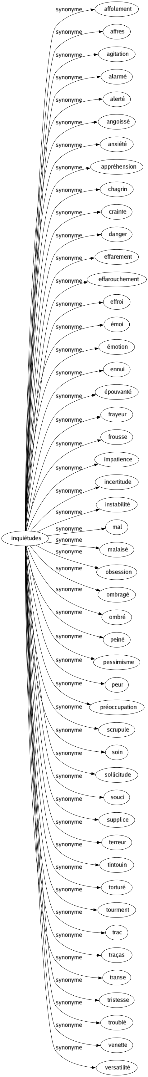 Synonyme de Inquiétudes : Affolement Affres Agitation Alarmé Alerté Angoissé Anxiété Appréhension Chagrin Crainte Danger Effarement Effarouchement Effroi Émoi Émotion Ennui Épouvanté Frayeur Frousse Impatience Incertitude Instabilité Mal Malaisé Obsession Ombragé Ombré Peiné Pessimisme Peur Préoccupation Scrupule Soin Sollicitude Souci Supplice Terreur Tintouin Torturé Tourment Trac Traças Transe Tristesse Troublé Venette Versatilité 