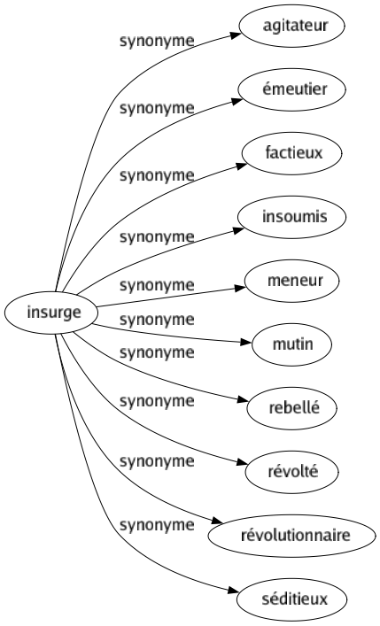 Synonyme de Insurge : Agitateur Émeutier Factieux Insoumis Meneur Mutin Rebellé Révolté Révolutionnaire Séditieux 