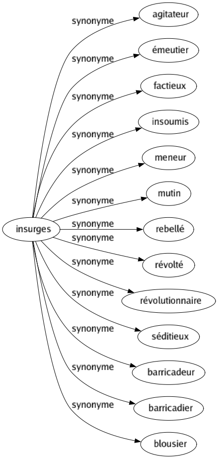 Synonyme de Insurges : Agitateur Émeutier Factieux Insoumis Meneur Mutin Rebellé Révolté Révolutionnaire Séditieux Barricadeur Barricadier Blousier 