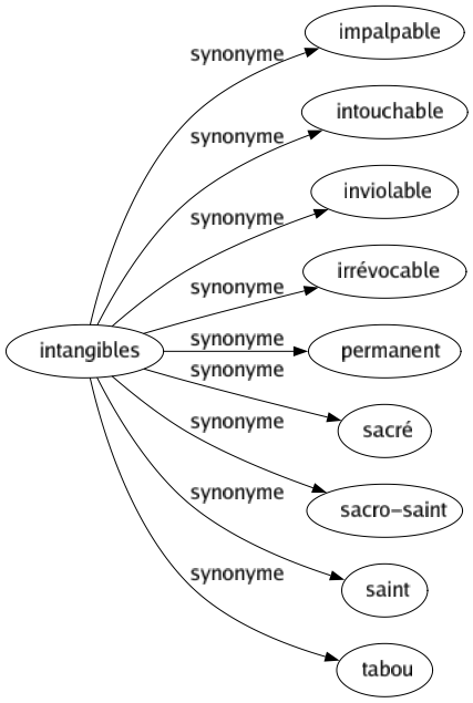 Synonyme de Intangibles : Impalpable Intouchable Inviolable Irrévocable Permanent Sacré Sacro-saint Saint Tabou 