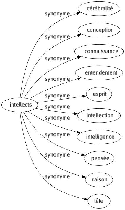 Synonyme de Intellects : Cérébralité Conception Connaissance Entendement Esprit Intellection Intelligence Pensée Raison Tête 