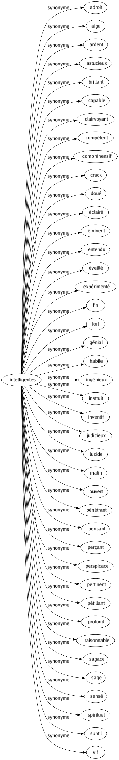 Synonyme de Intelligentes : Adroit Aigu Ardent Astucieux Brillant Capable Clairvoyant Compétent Compréhensif Crack Doué Éclairé Éminent Entendu Éveillé Expérimenté Fin Fort Génial Habile Ingénieux Instruit Inventif Judicieux Lucide Malin Ouvert Pénétrant Pensant Perçant Perspicace Pertinent Pétillant Profond Raisonnable Sagace Sage Sensé Spirituel Subtil Vif 