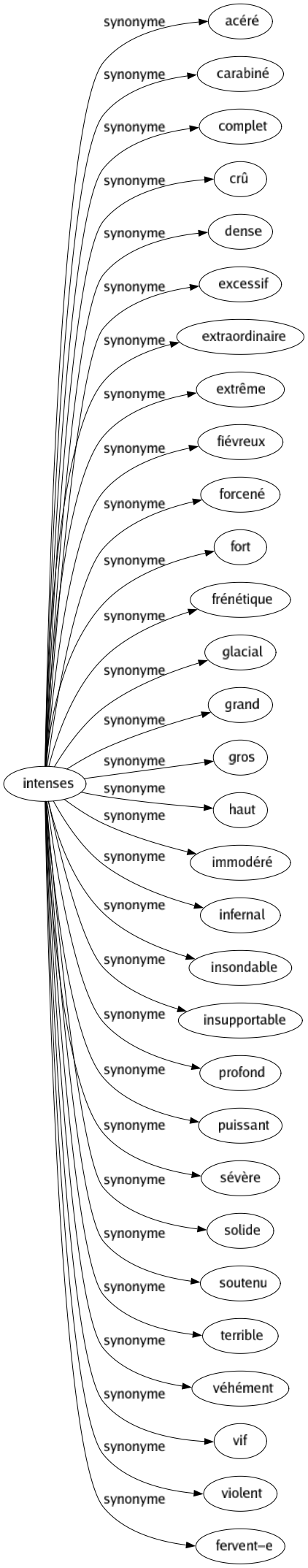 Synonyme de Intenses : Acéré Carabiné Complet Crû Dense Excessif Extraordinaire Extrême Fiévreux Forcené Fort Frénétique Glacial Grand Gros Haut Immodéré Infernal Insondable Insupportable Profond Puissant Sévère Solide Soutenu Terrible Véhément Vif Violent Fervent-e 