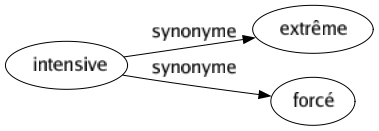 Synonyme de Intensive : Extrême Forcé 