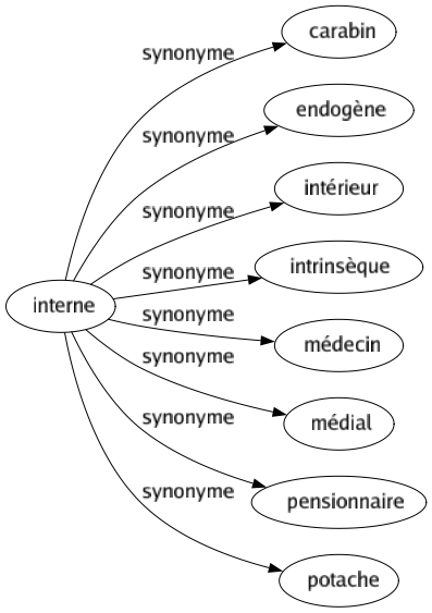 Synonyme de Interne : Carabin Endogène Intérieur Intrinsèque Médecin Médial Pensionnaire Potache 