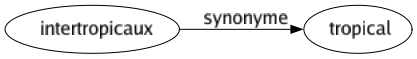 Synonyme de Intertropicaux : Tropical 
