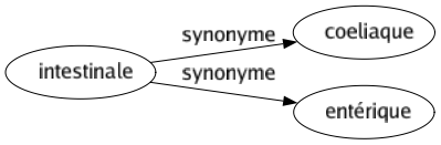 Synonyme de Intestinale : Coeliaque Entérique 