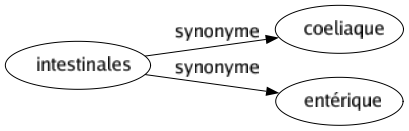 Synonyme de Intestinales : Coeliaque Entérique 