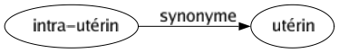 Synonyme de Intra-utérin : Utérin 