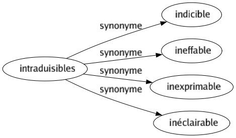Synonyme de Intraduisibles : Indicible Ineffable Inexprimable Inéclairable 
