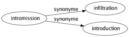 Synonyme de Intromission : Infiltration Introduction 