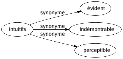 Synonyme de Intuitifs : Évident Indémontrable Perceptible 