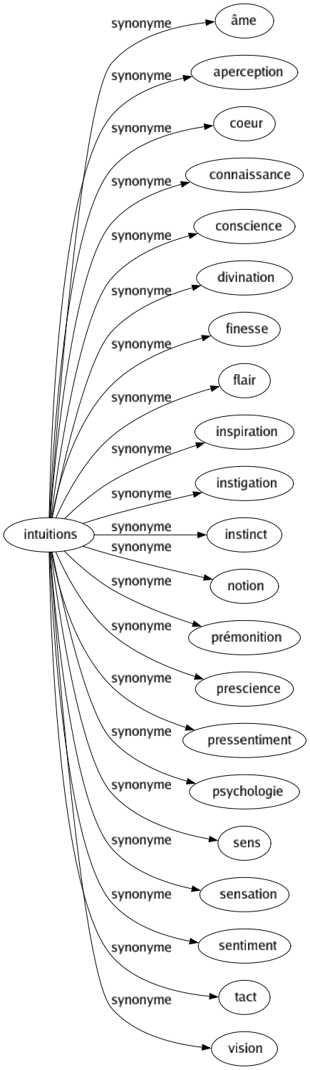 Synonyme de Intuitions : Âme Aperception Coeur Connaissance Conscience Divination Finesse Flair Inspiration Instigation Instinct Notion Prémonition Prescience Pressentiment Psychologie Sens Sensation Sentiment Tact Vision 