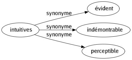 Synonyme de Intuitives : Évident Indémontrable Perceptible 