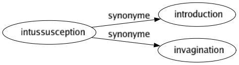 Synonyme de Intussusception : Introduction Invagination 