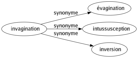 Synonyme de Invagination : Évagination Intussusception Inversion 