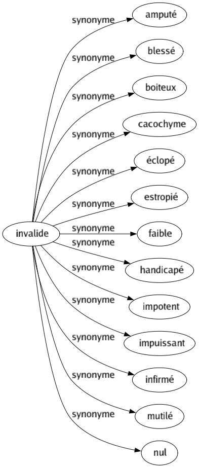 Synonyme de Invalide : Amputé Blessé Boiteux Cacochyme Éclopé Estropié Faible Handicapé Impotent Impuissant Infirmé Mutilé Nul 