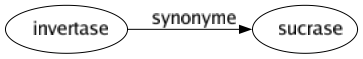 Synonyme de Invertase : Sucrase 