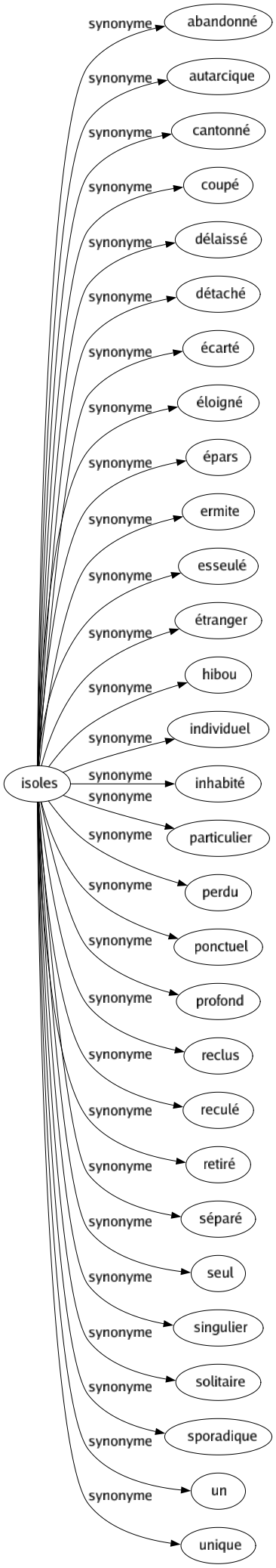 Synonyme de Isoles : Abandonné Autarcique Cantonné Coupé Délaissé Détaché Écarté Éloigné Épars Ermite Esseulé Étranger Hibou Individuel Inhabité Particulier Perdu Ponctuel Profond Reclus Reculé Retiré Séparé Seul Singulier Solitaire Sporadique Un Unique 