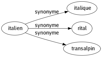 Synonyme de Italien : Italique Rital Transalpin 