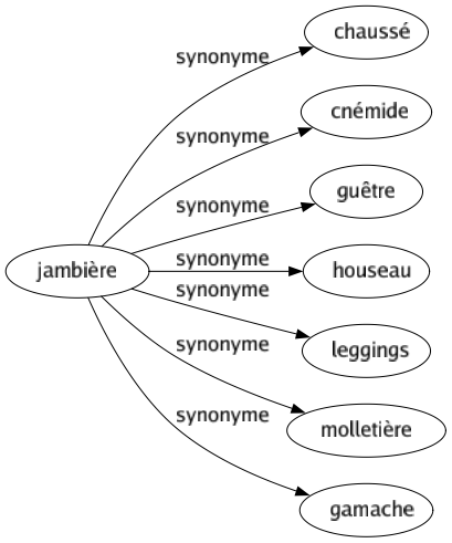 Synonyme de Jambière : Chaussé Cnémide Guêtre Houseau Leggings Molletière Gamache 