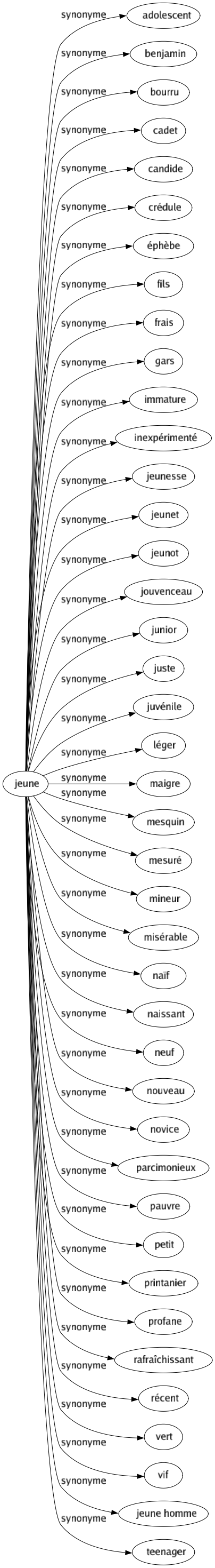 Synonyme de Jeune : Adolescent Benjamin Bourru Cadet Candide Crédule Éphèbe Fils Frais Gars Immature Inexpérimenté Jeunesse Jeunet Jeunot Jouvenceau Junior Juste Juvénile Léger Maigre Mesquin Mesuré Mineur Misérable Naïf Naissant Neuf Nouveau Novice Parcimonieux Pauvre Petit Printanier Profane Rafraîchissant Récent Vert Vif Jeune homme Teenager 