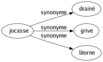 Synonyme de Jocasse : Drainé Grive Litorne 