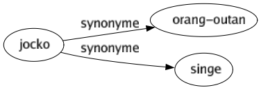 Synonyme de Jocko : Orang-outan Singe 